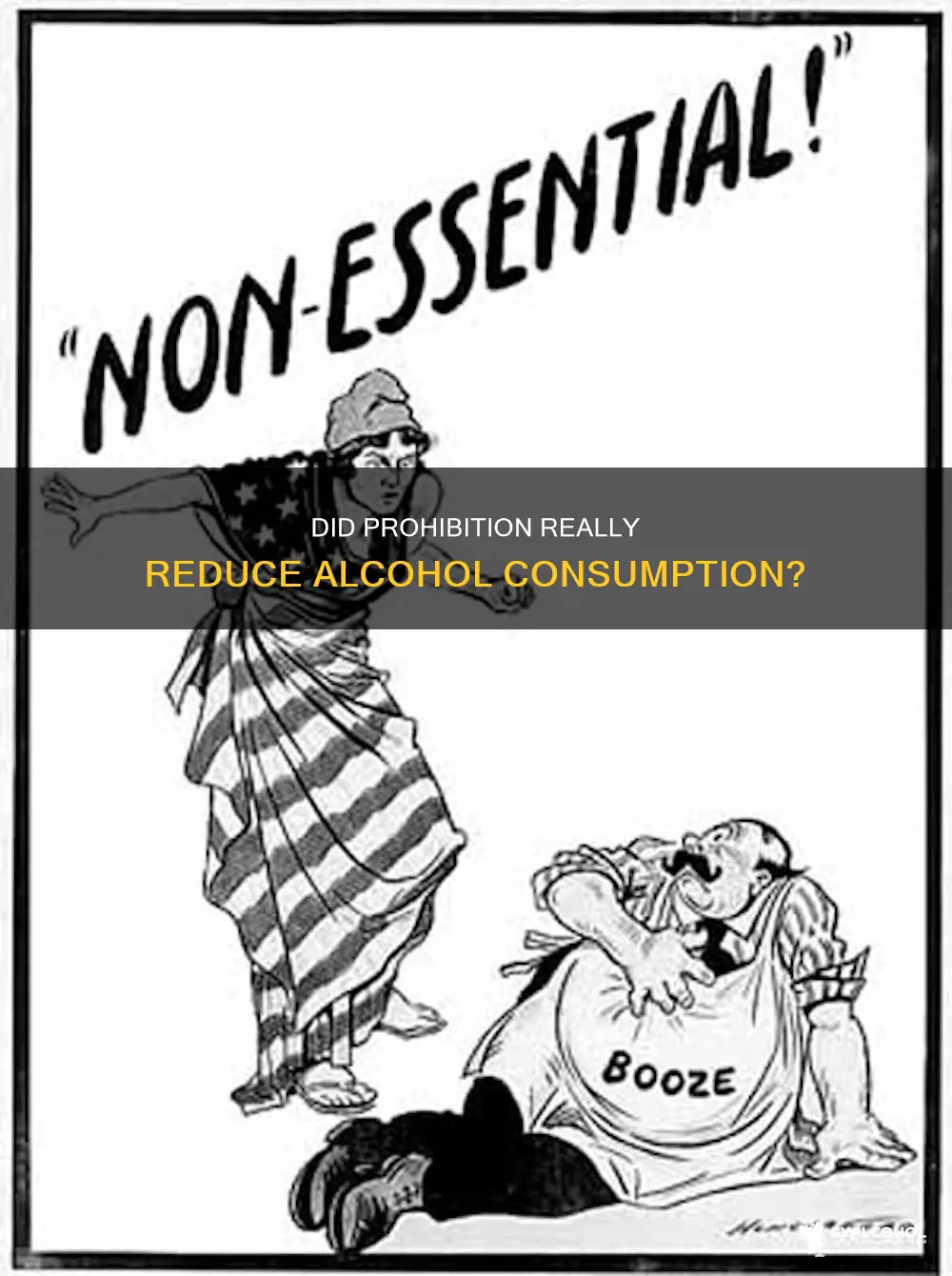 when prohibition waz in place did alcohol consumption increase