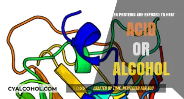 How Heat, Acid, Alcohol Affect Proteins