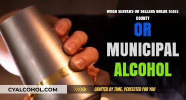 Alcohol Laws: Server and Seller Responsibilities