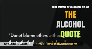 The car or alcohol: Who's to blame?