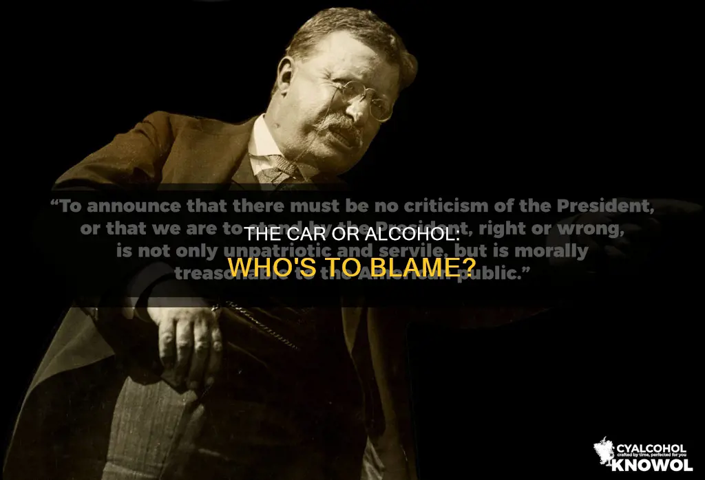 when someone dies no blames the car the alcohol quote