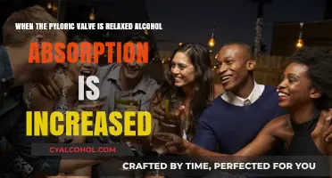 Relaxed Pyloric Valve: Alcohol's Easy Entry