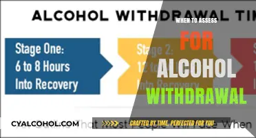 Assessing Alcohol Withdrawal: Key Timing and Symptoms to Monitor