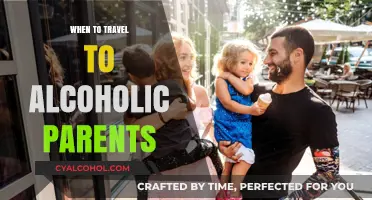 Navigating Visits: Timing Travel to Alcoholic Parents with Care