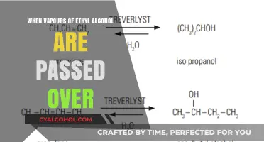 Ethyl Alcohol Vapors: Reactions and Transformations Over Catalysts