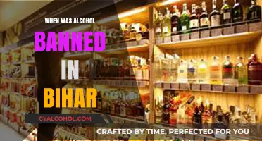 Bihar's Prohibition Journey: When Alcohol Was Banned in the State
