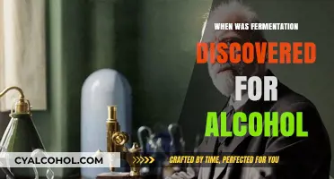 Unveiling the Ancient Origins of Alcohol Fermentation Discovery