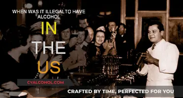The Prohibition: A Dark Time in US History