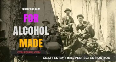 The History of Alcohol Prohibition: When Did the Law Begin?