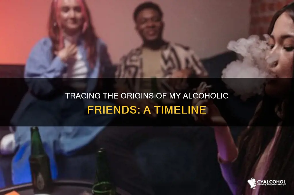 when was my alcoholic friends made
