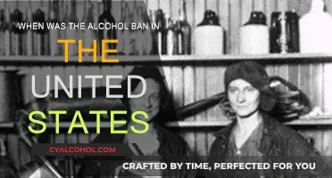 The US Alcohol Ban: A Historical Perspective