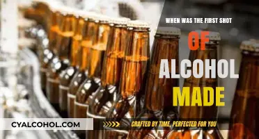 Unveiling the Origins: When Was the First Alcoholic Beverage Crafted?