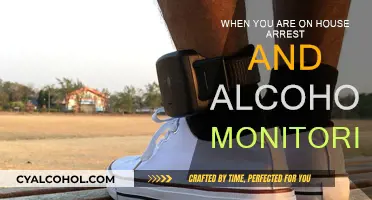 Stay Sober: House Arrest and Alcohol Monitoring