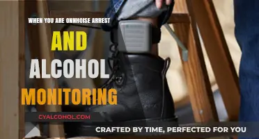 House Arrest and Alcohol Monitoring: Navigating Sobriety and Legal Compliance