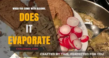 Does Alcohol Evaporate When Cooking? Unraveling the Culinary Mystery