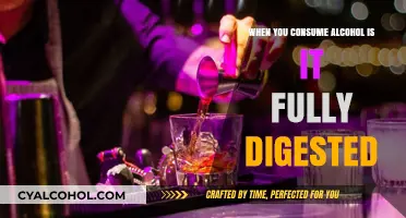 Is Alcohol Fully Digested? Understanding Its Unique Metabolic Journey