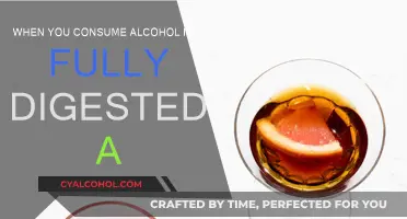 Alcohol Digestion: How Long Does It Really Take?