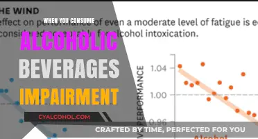 Alcohol Consumption and Impairment: Understanding the Risks and Effects