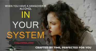 Hangover: Alcohol Still in Your System?