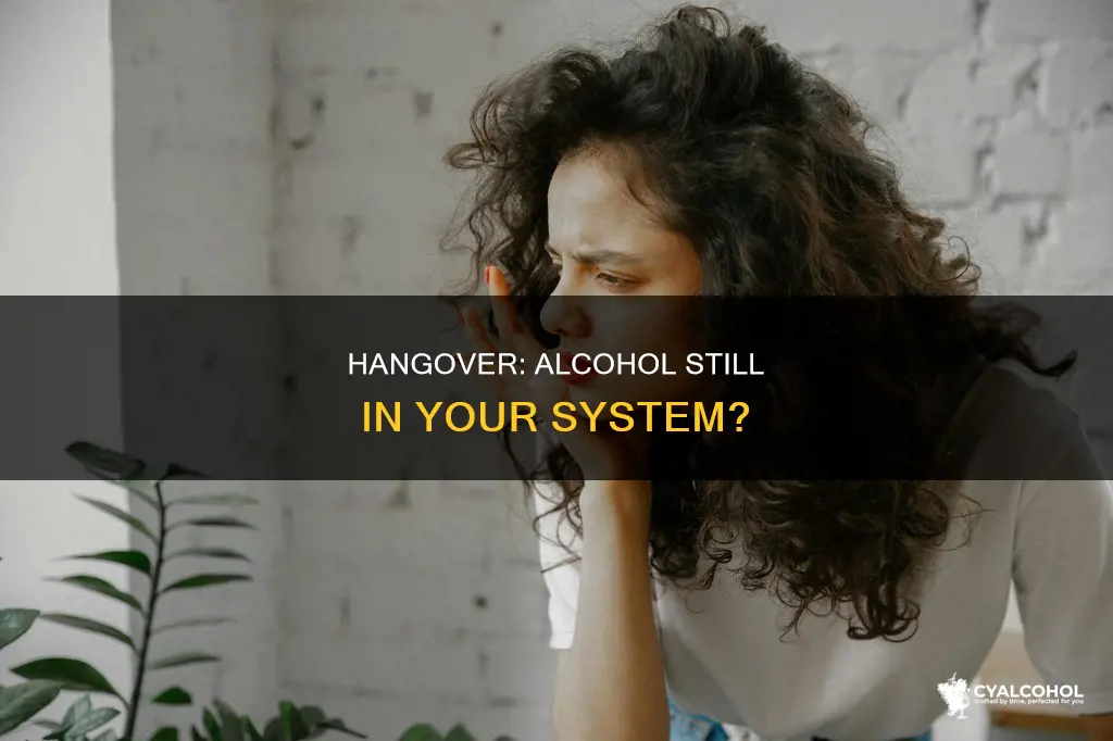 when you have a hangover is alcohol in your system