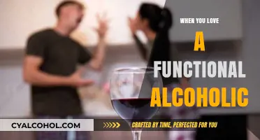 Loving a Functional Alcoholic: Navigating the Hidden Struggles and Hope