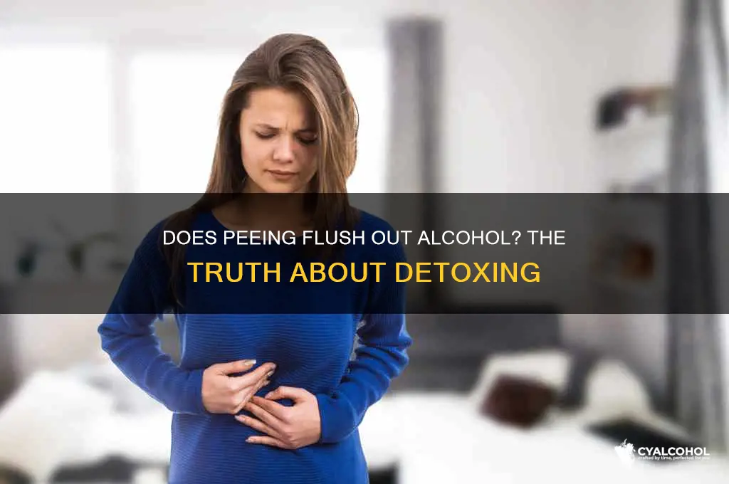 when you pee does alcohol leave your system
