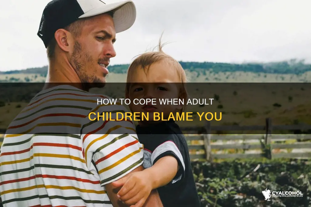when your alcoholic children blame you for there pain