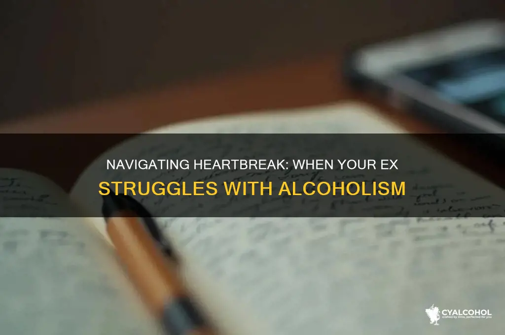 when your ex is an alcoholic