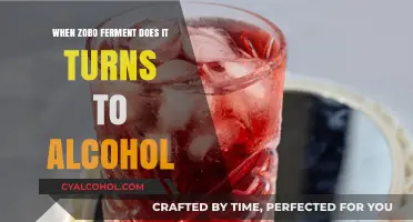 Does Zobo Fermentation Produce Alcohol? Unveiling the Truth Behind the Brew