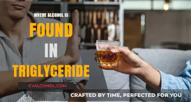 Unveiling Alcohol's Presence in Triglycerides: A Comprehensive Exploration