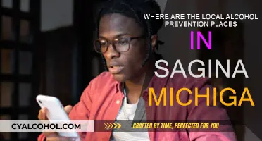Alcohol-Free Zones in Saginaw, Michigan: Where to Go?