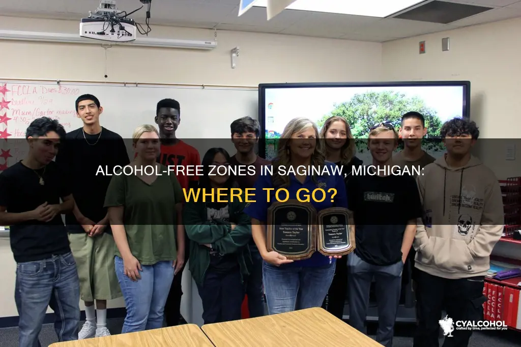 where are the local alcohol prevention places in saginaw michigan