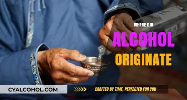 Unveiling the Ancient Origins of Alcohol: A Global Historical Journey