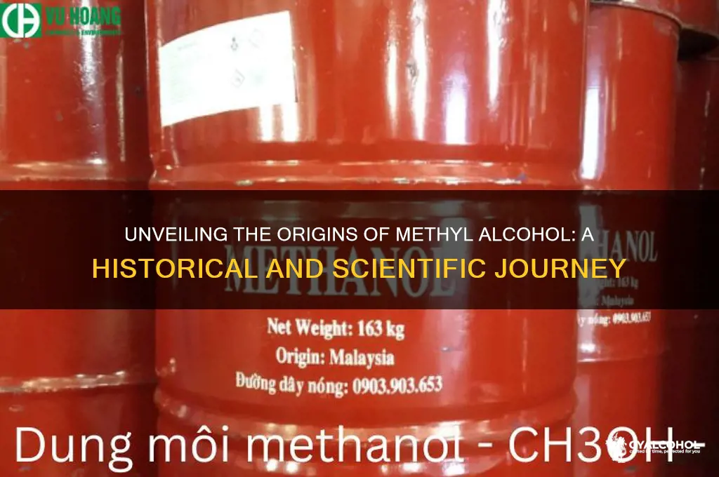 where did methyl alcohol come from