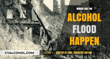 The Devastating Alcohol Flood: Uncovering Its Unexpected Location and History