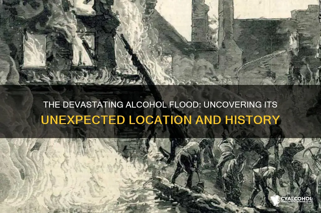 where did the alcohol flood happen