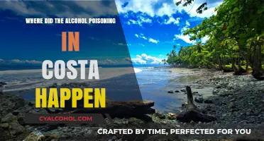 Costa Rica Alcohol Poisoning Incident: Unraveling the Tragic Event's Location
