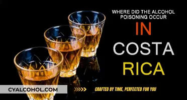 Alcohol Poisoning Tragedy in Costa Rica: Where Did It Happen?