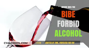 Biblical Teachings on Alcohol: Where Does Scripture Draw the Line?