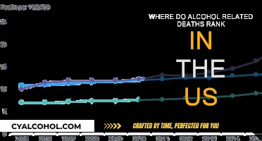 Alcohol-Related Deaths: A Leading US Health Crisis