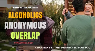 Clubhouse vs. AA: Shared Principles, Different Paths to Recovery