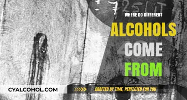 Exploring the Origins of Various Alcohols: A Global Journey