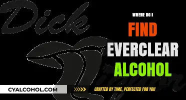 Where to Buy Everclear Alcohol: A Comprehensive Guide for Shoppers