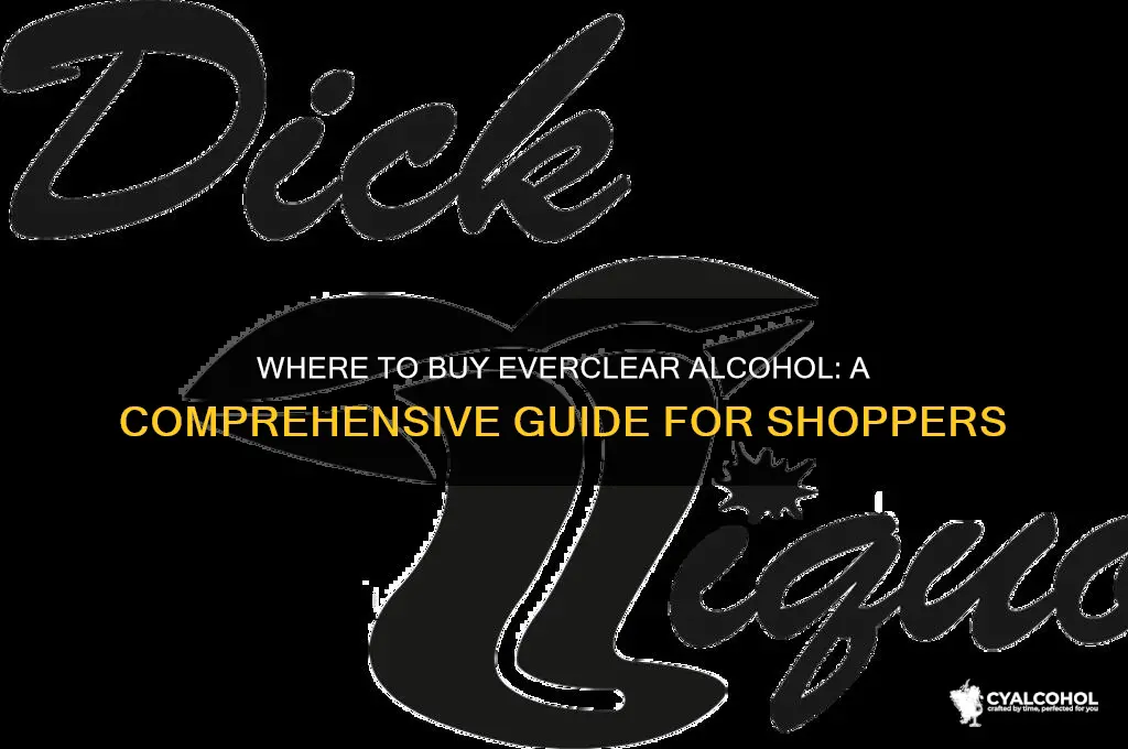 where do i find everclear alcohol