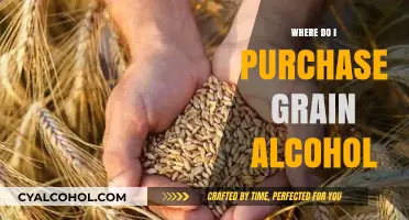 Where to Buy Grain Alcohol: A Comprehensive Purchasing Guide