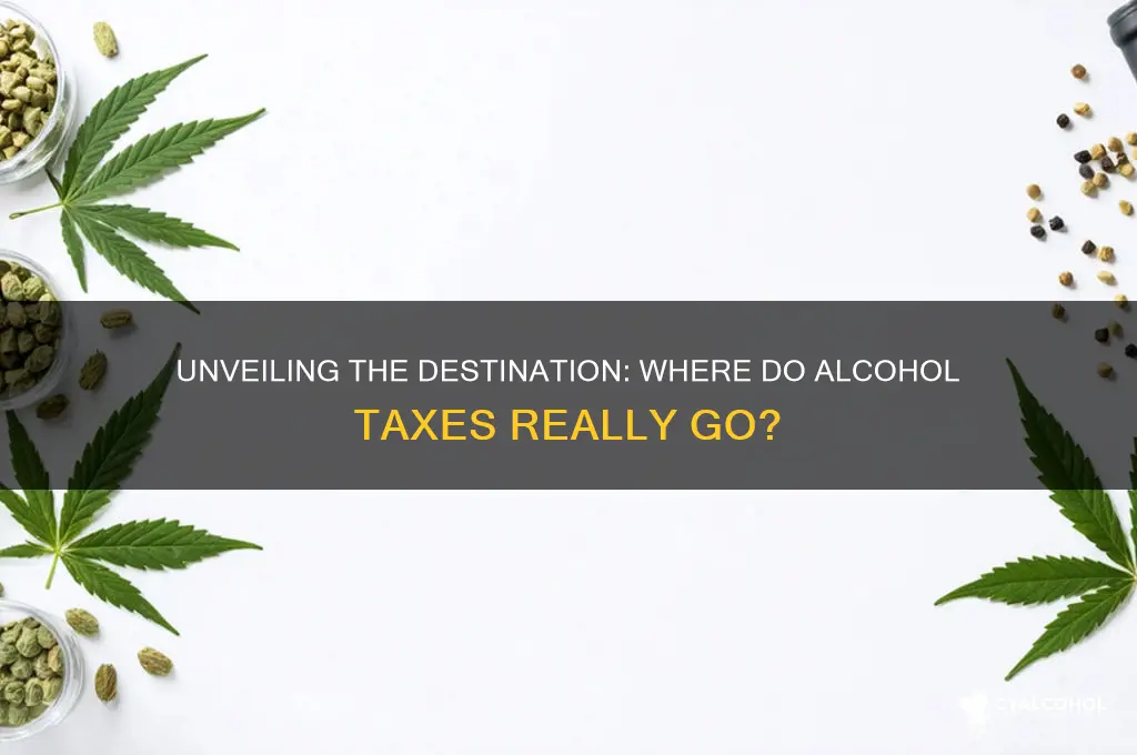 where do taxes on alcohol go
