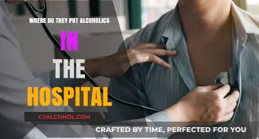 Hospital Care for Alcoholics: Understanding Detox and Treatment Units