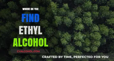 Discovering Ethyl Alcohol: Common Sources and Everyday Uses Explained