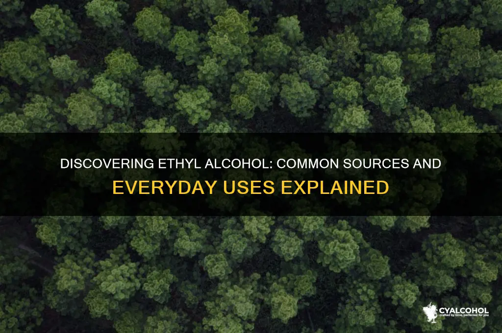 where do you find ethyl alcohol
