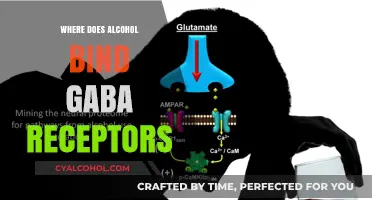 Alcohol's Interaction: Unraveling GABA Receptor Binding Mechanisms and Effects